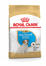 Royal Canin Jack Russel Puppy - корм для цуценят породи джек-рассел-тер'єр до 10 місяців 3 кг