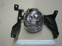 Фара протитуманна, противотуманки права Кіа Соренто, KIA SORENTO 10-13 (TYC)