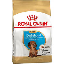 Royal Canin Dachshund Puppy - корм для цуценят породи такса до 10 місяців 1,5 кг