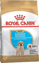 Royal Canin Labrador Retriever Puppy - корм для цуценят породи лабрадор ретривер до 15 місяців 12 кг