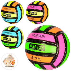Волейбольний м'яч PROFI MS 2342 із сіткою та голкою