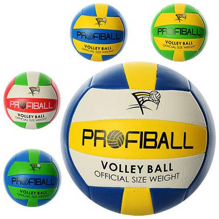 Волейбольний м'яч PROFIBALL EV-3159 ПВХ 2 мм, фото 1
