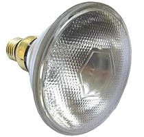 Інфрачервона лампа для обігріву тварин (100 Вт, 220 В)