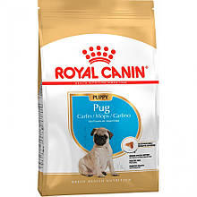 Royal Canin Pug Puppy - корм для цуценят породи мопс до 10 місяців 0,5 кг
