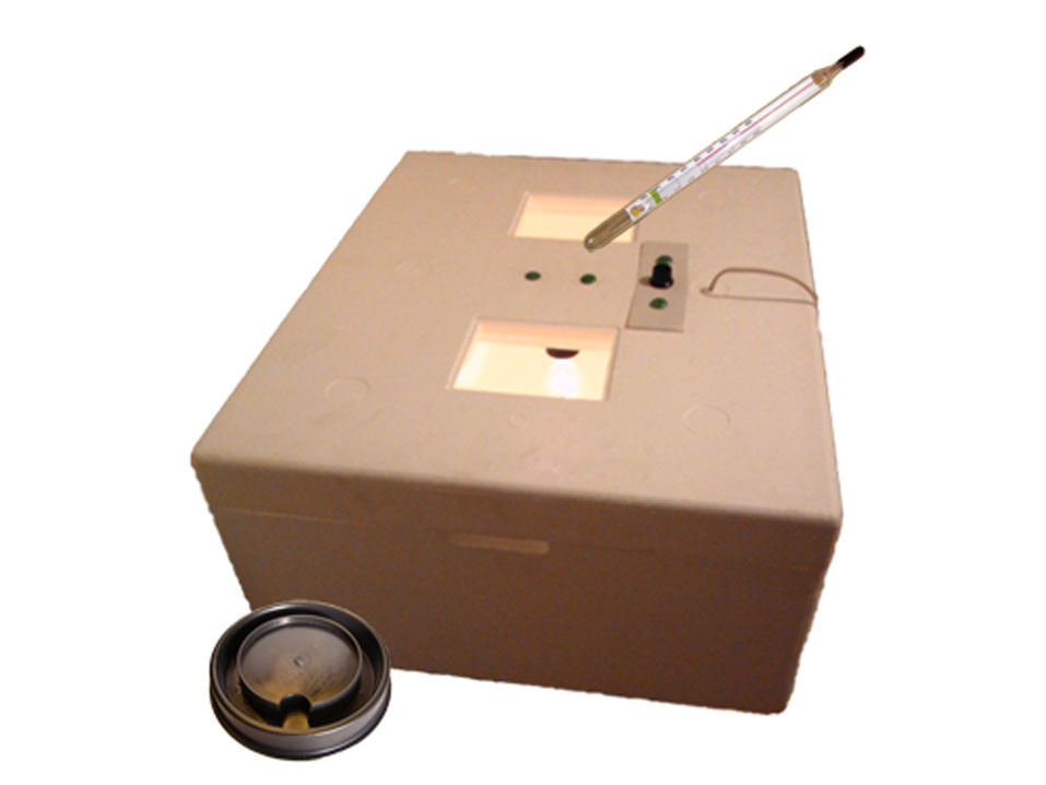 Ясли брудер для курчат "Сонечко"