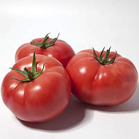 Хонока F1(KS 1157 F1) насіння томату рожевого Kitano Голландія 100 шт