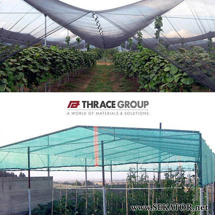 Сітка для затінення Thrace THR (35%) та TS (Греція), фото 2