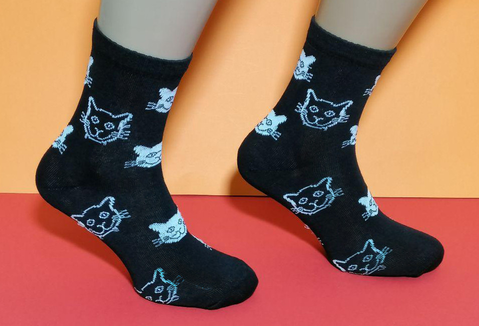 Шкарпетки з приколами демісезонні Rock'n ' socks 444-90 чорний кіт Україна one size (37-44р) НМД-0510674