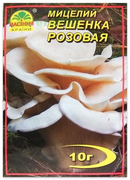 Міцеля гриба Вешенька Рожева, 10 г
