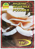 Міцеля гриба Вешенька Рожева, 10 г