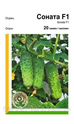 Насіння огірок Соната F1 20шт. Rijk Zwaan Нідерланди