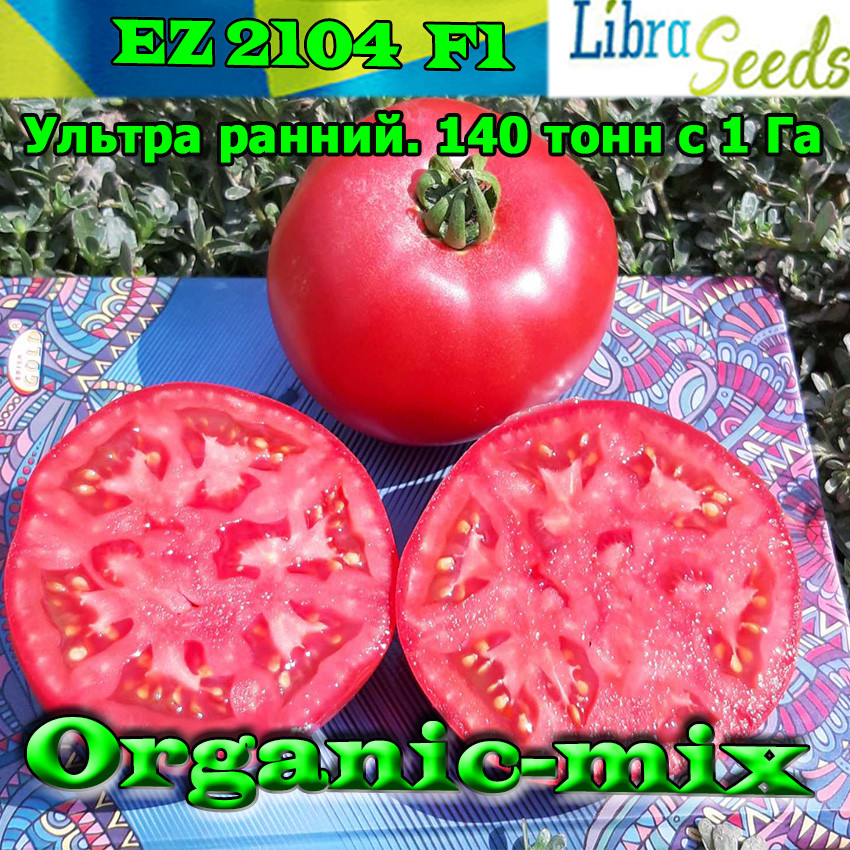 Насіння, томат ранній Альма EZ 2104 F1 (Рожевий, великий) ТМ "Libra Seeds, 250 насіння