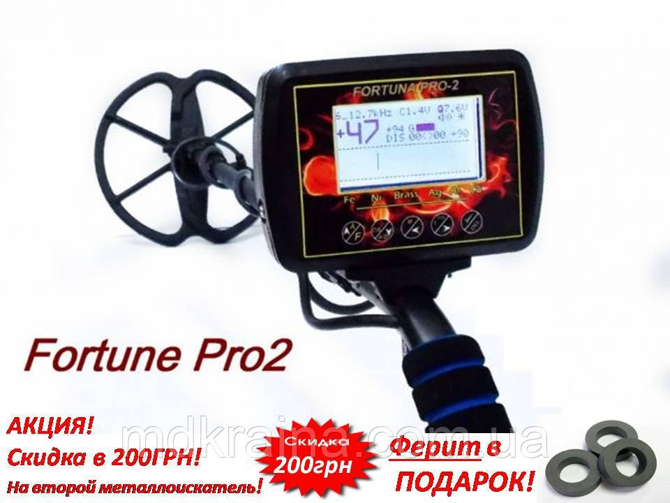 Новинка! Металошукач Fortune PRO-2 / Фортуна ПРО-2 LCD-дисплей 7*4 FM трансмітер. Котушка 10 і 15 кГц.