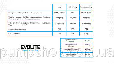 Гейнер Evolite Nutrition IsoGainz 1000 г, фото 2