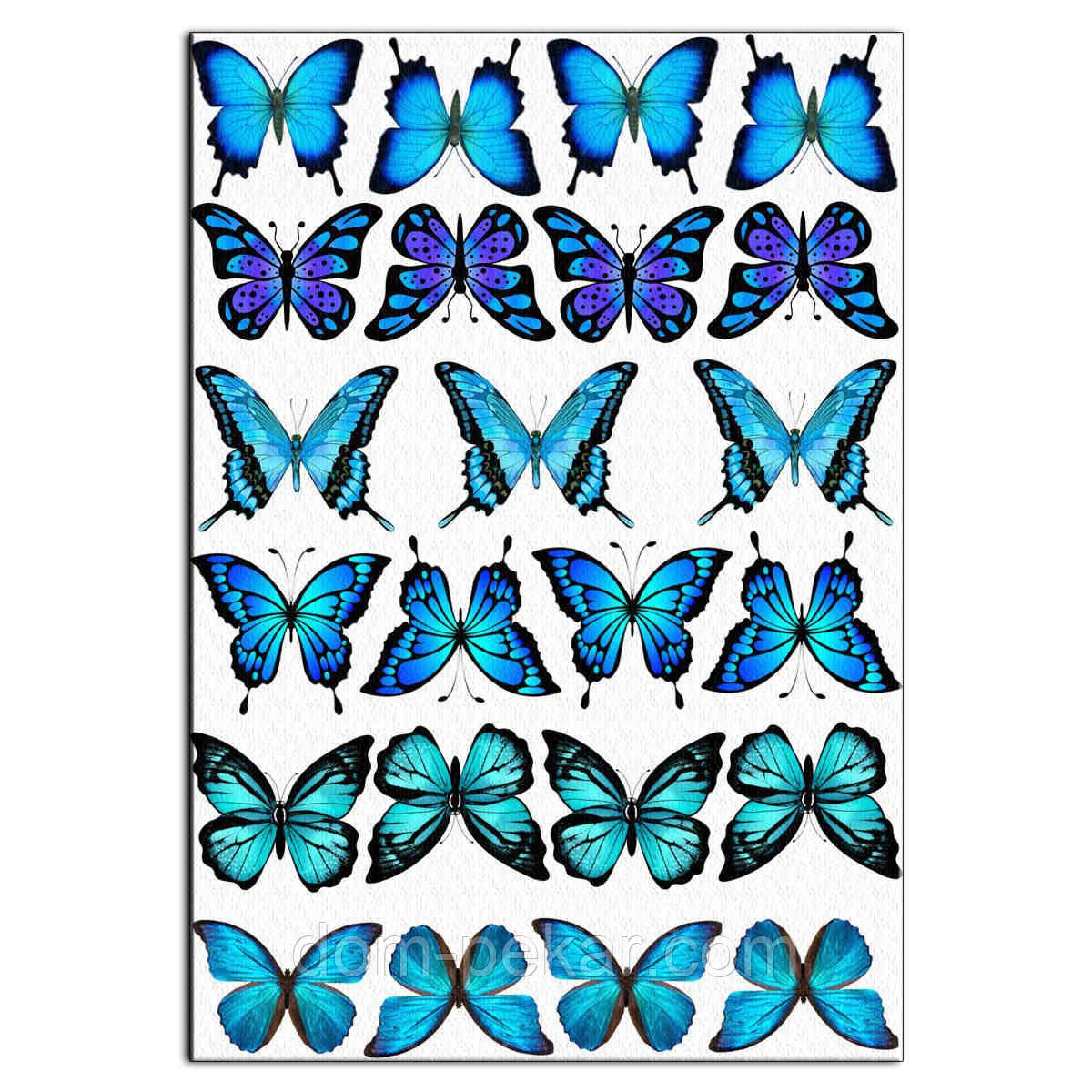Блакитні метелики вафельна картинка