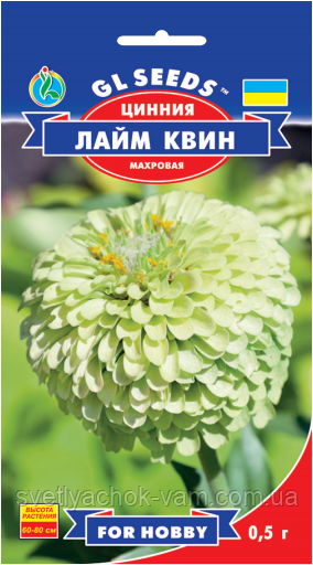 Цинія Лайм Квін махрова заввишки до 80 см суцвіття напівкуроподібні кольори стиглого лайма, паковання 0,5 г