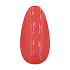 Втирання кольору ГАРХНА