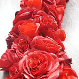 Гірлянда — серце з червоних троянд, фото 3