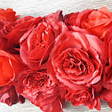 Гірлянда — серце з червоних троянд, фото 2