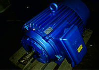Электродвигатель асинхронный 4АМ200М6У3
