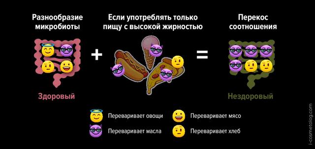 О здоровом соотношении видов микробиоты