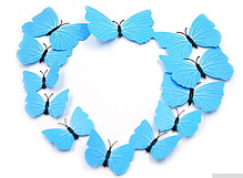 3D метелики наклейки з магнітами і з наклейкою на стіну блакитний 12штук набір, фото 2
