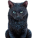 Статуэтка  Veronese Кот предсказатель 15 см 1904130 черная кошка фигурка статуетка веронезе, фото 4