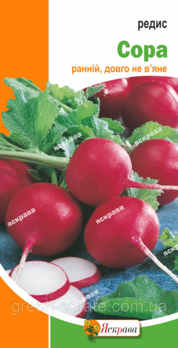 Редис Сора 20 р.