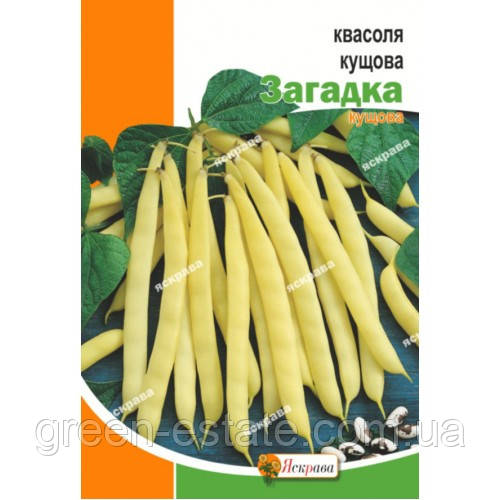 Квасоля кущова Загадка 20 р.