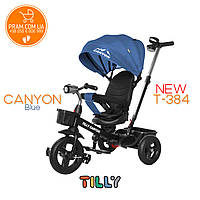 TILLY CANYON T-384 триколісний велосипед із батьківською ручкою Сірий Синій