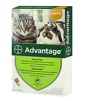 Капли на холку для кошек и кроликов Bayer «Advantage» (Адвантейдж) до 4 кг 40 мг, 1 шт (от внешних паразитов)