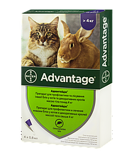Краплі на холку для котів та кролів Bayer «Advantage» (Адвантейдж) від 4 до 8 кг 80 мг, 1 піпетка (від зовнішніх паразитів)