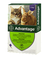 Краплі на холку для котів та кролів Bayer «Advantage» (Адвантейдж) від 4 до 8 кг 80 мг, 1 піпетка (від зовнішніх паразитів)