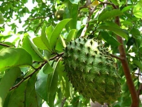 Основные принципы работы