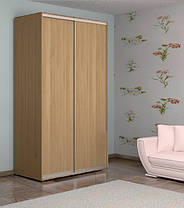 Шафа-купе 2 двері Стандарт 100х45 h-210, ТМ Фенікс, фото 2