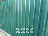 Профнактил для забору, Металопрофіль на паркан, Забір із профнастилу, Забірний профліс., фото 6