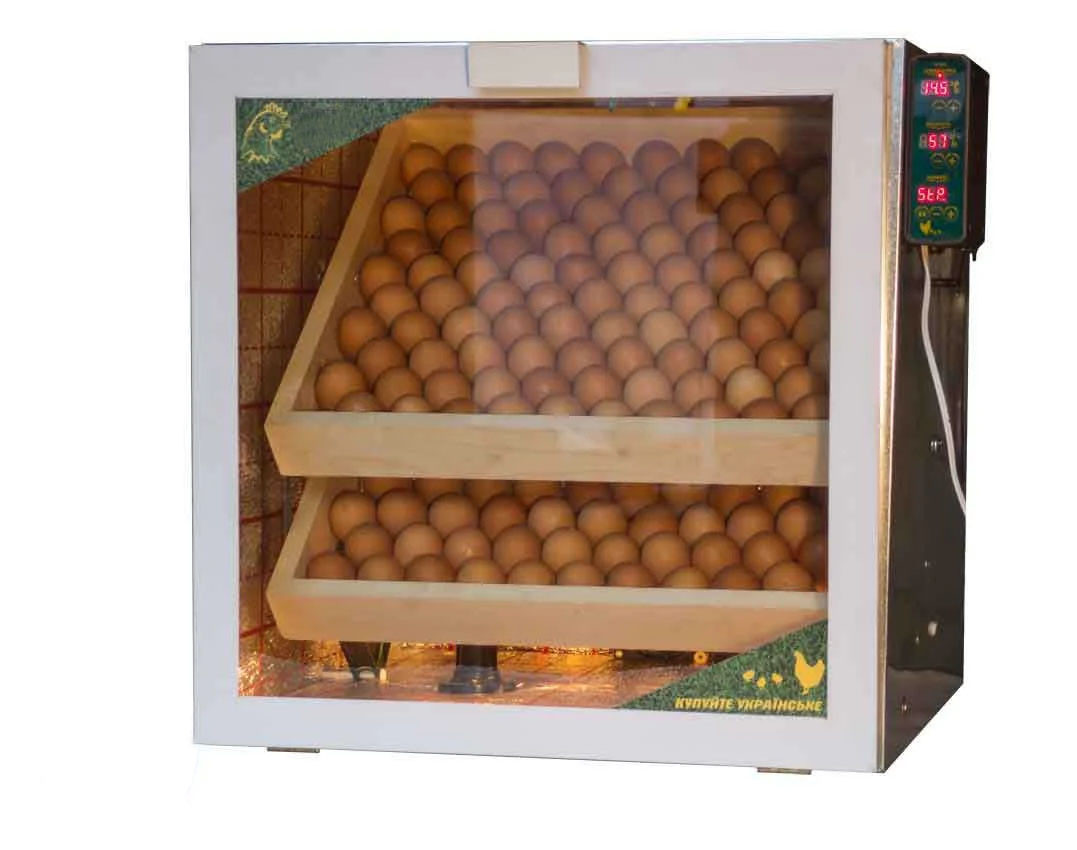 Інкубатор з автоматичним переворотом і підтриманням вологості на 200 курячих яєць, фото 1