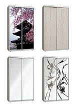 Шафа-купе 2 двері Стандарт 140х45 h-210, ТМ Фенікс, фото 3