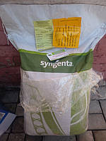 Насіння гороху Муціо (Syngenta) 100000 насіння/100 тис сем — середньосстиглий (65-66 днів), овочевий