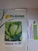 Насіння капусти Оракл F1 (Clause) 1000 насіння — раня (55 днів), білочана, кругла, Франція