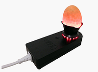 Овоскоп для проверки яиц ОВ1-60Д Сяйво (диодный)