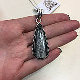 Ортоцерас скам'янілий кулон натурального скам'янілого ортоцераса Індія, фото 2