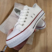 ТІЛЬКИ 38 р Білі Кеди конверси в стилі Converse all star кеди сітка низькі, фото 3