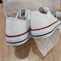 ТІЛЬКИ 38 р Білі Кеди конверси в стилі Converse all star кеди сітка низькі, фото 6