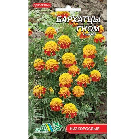 Насіння Чорнобривці Гном двоколірний однорічник низькорослий 0.3 г