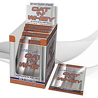 Замінник харчування від Scitec Nutrition Oat 'N' Whey 12 пакетиків (ваніль)