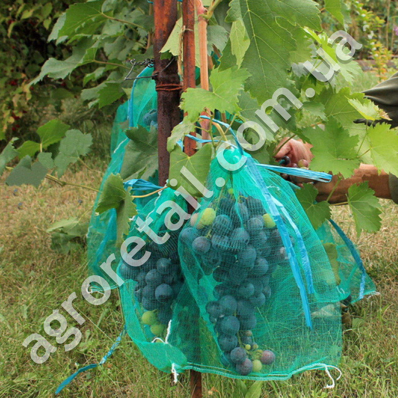 Сетка для защиты винограда от ос зеленая 28х40 см 5 кг - фото 3 - id-p1128427584