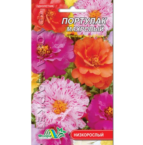 Насіння Портулак махровий суміш різні кольори однорічник низькорослий 0.05 г