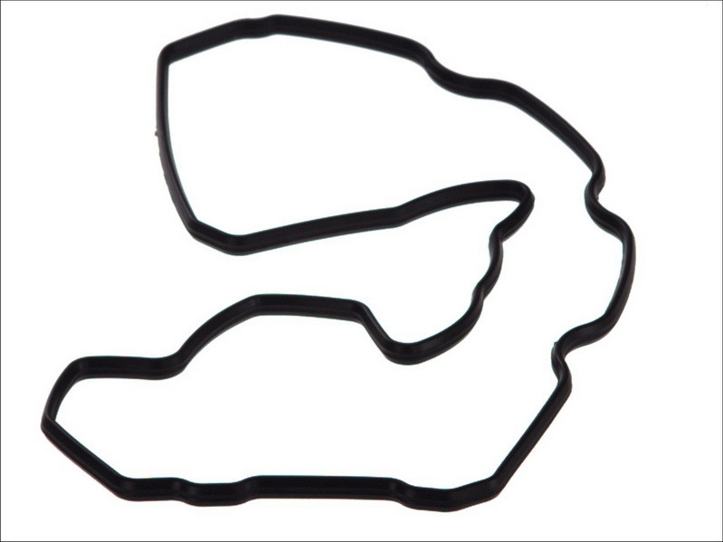 Прокладка клапанної кришки (4cyl.) F4AE0481 Tector