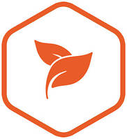 Фітоестрогени